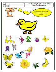 okul öncesi renkler çalışma sayfaları; verilen resimle aynı renkte olan resimleri işaretle